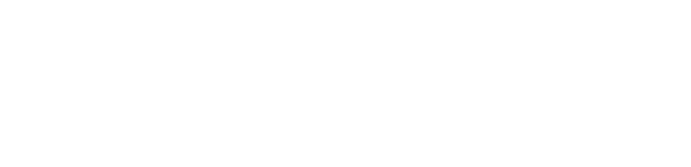 CNSNews Logo